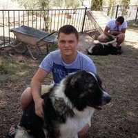 robert (@poprobrt) 's Twitter Profile