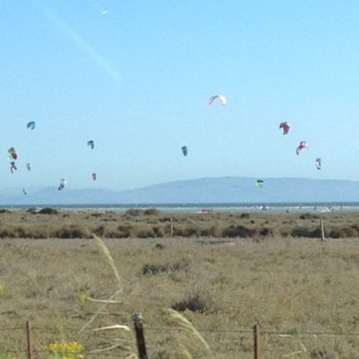 BeaOrtells's profile picture. 