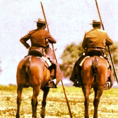 acoso_derribo's profile picture. 