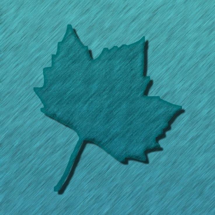 Doctoral researcher in Forest Conservation, Remote Sensing, Landscape dynamics & Urban Biodiversity.
