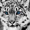 hawa bibi wahab - @HAWAbibi91 - Twitter