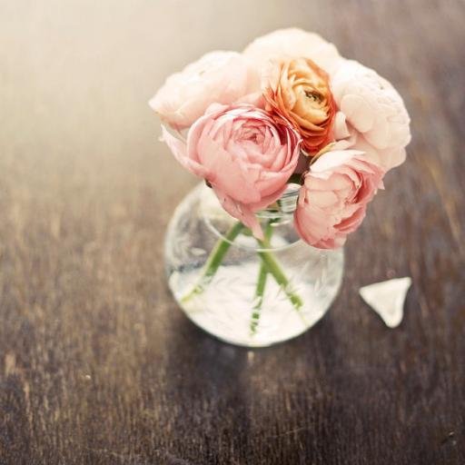 salmasemry1's profile picture. 