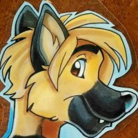 Blitz Shepherd (@blitzshepherd) 's Twitter Profile