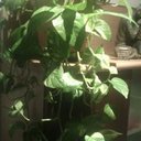 Brigitte Vincent - @63_brigitte - Twitter