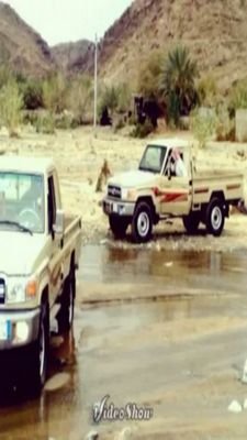 esrgr4561's profile picture. 