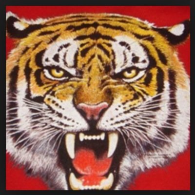 Offical twitter of the best student section in the MSL 
#tigerpride
#thejungle