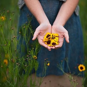 We're a non-profit developing regenerative textile systems that are based on carbon farming, regional manufacturing, and public education.