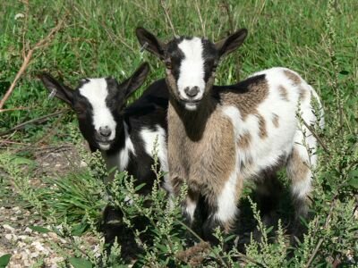 ThomasUsain's profile picture. sympa