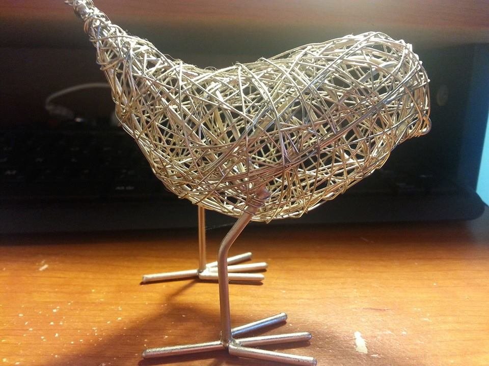 I am a nerdy birdie.