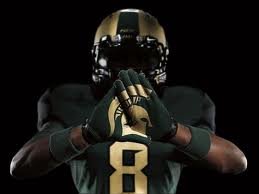 I really like msu football