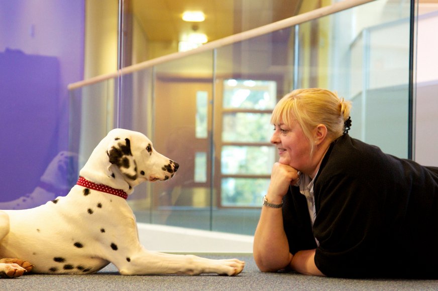 Certificated Clinical Animal Behaviourist & behaviour and welfare scientist, Uni of Bristol. Resident expert on Ch4 Dogs: Their Secret Lives & BBCs #MeAndMyDog