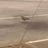 FishbirdLuzern's profile image