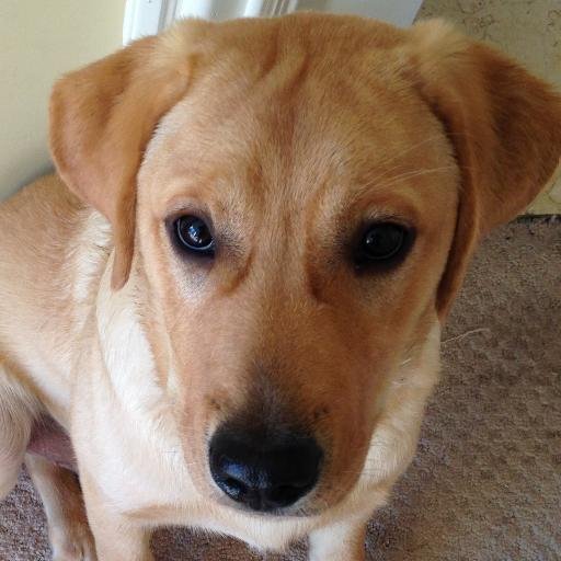 jennifer_roop (@jennifer_roop) | Twitter