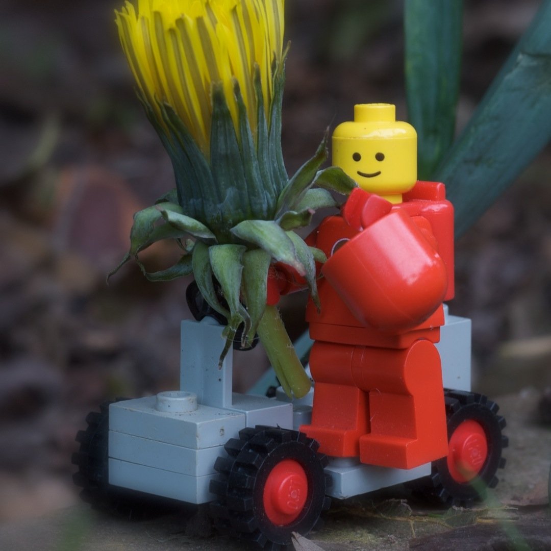 studoot's profile picture. Software. Development. And Engineering...