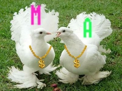 ‏محبوب