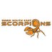 ISE Scorpions (@cv_scorpions) Twitter profile photo