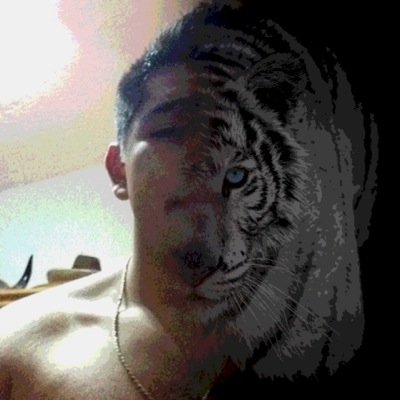 dr_osaio's profile picture. I never feared death or dying, i only fear never trying