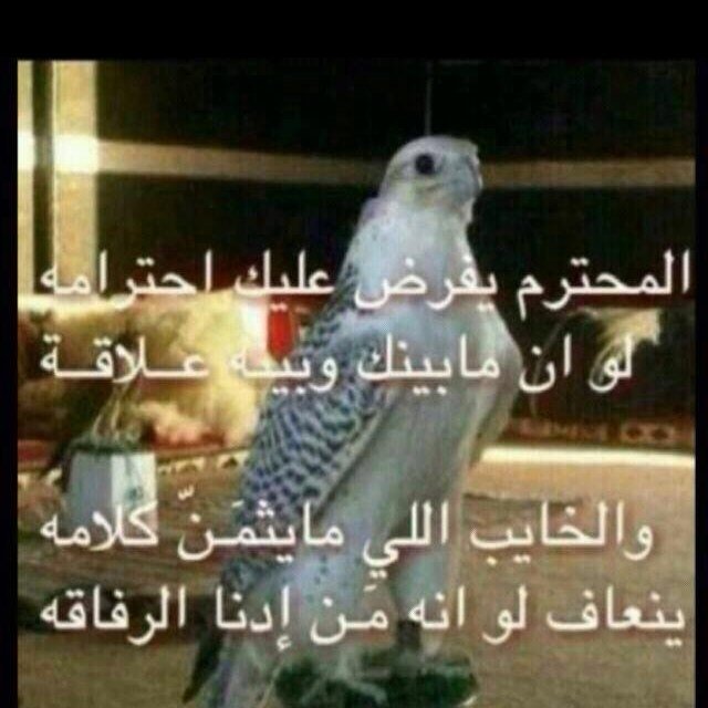 hpph5174's profile picture. 