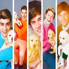 Directioner,Smiler and Harmonizer