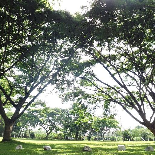 sumoreno's profile picture. 