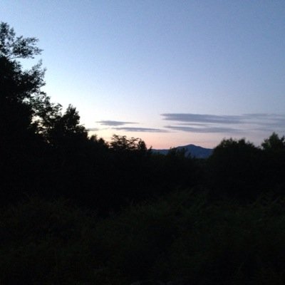 Cabin42nh's profile picture. 