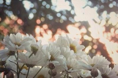 لون حياتك بطاعه الله  ~^♡^~‬