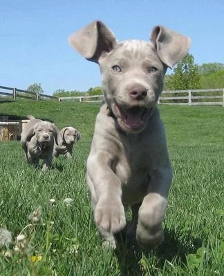 misdebs123's profile picture. im lovin it!