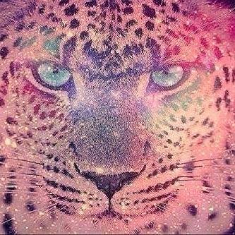 Hi ✌
Hola ✌