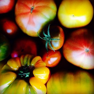 smelissa530's profile picture. 