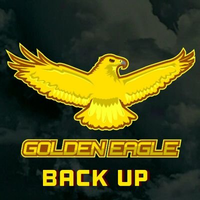 this is my back up account for @golden_eagle93  follow my main account