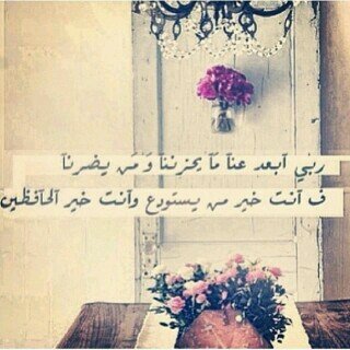 treevoice22's profile picture. 