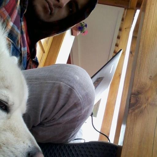 Felipestoso's profile picture. Antropófago

http://t.co/MI34EGMd3l