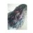 Nawangwashu's profile image