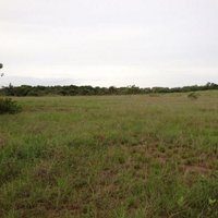 TERRENOS PANAMA (@terrenospma) 's Twitter Profile