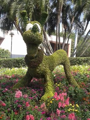 kamichelv's profile picture. Madre 100% feliz. Amo la música, la moda, la culinaria y todo lo relacionado a la educación de niños y jóvenes.