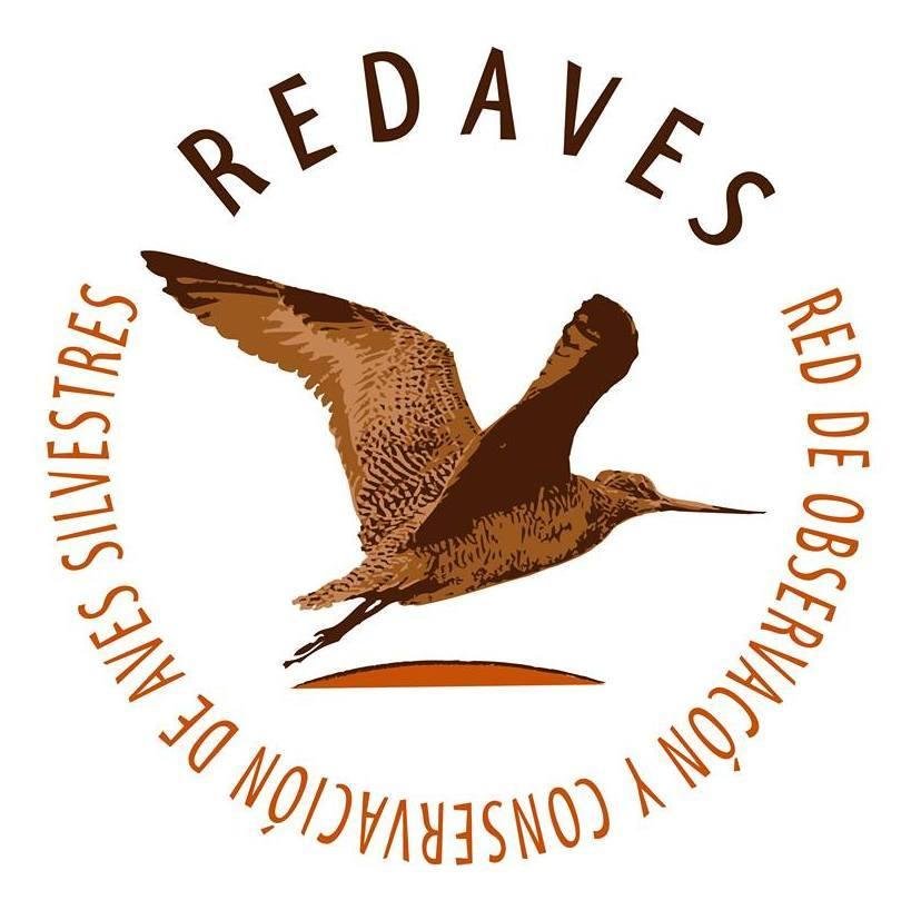 REDAVES Profile