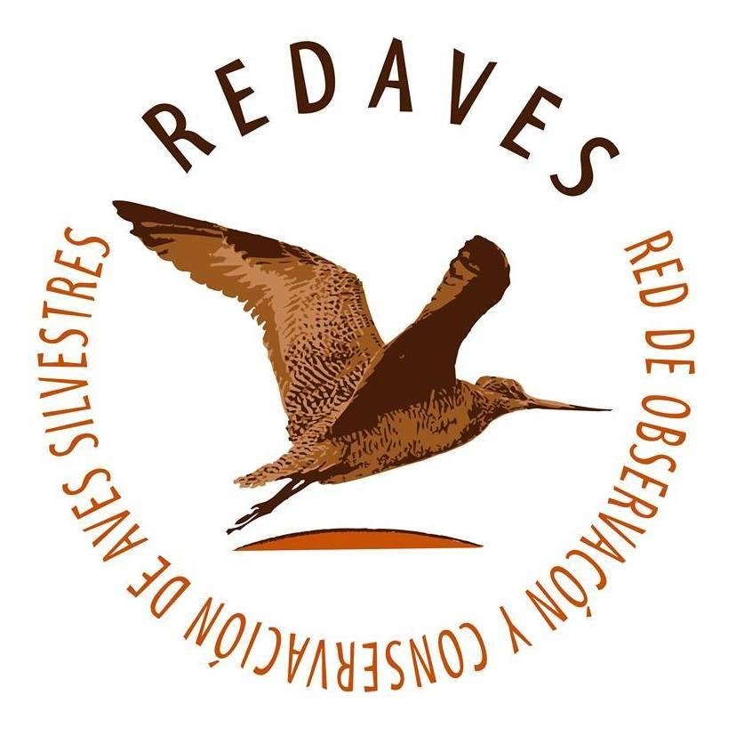 REDAVES