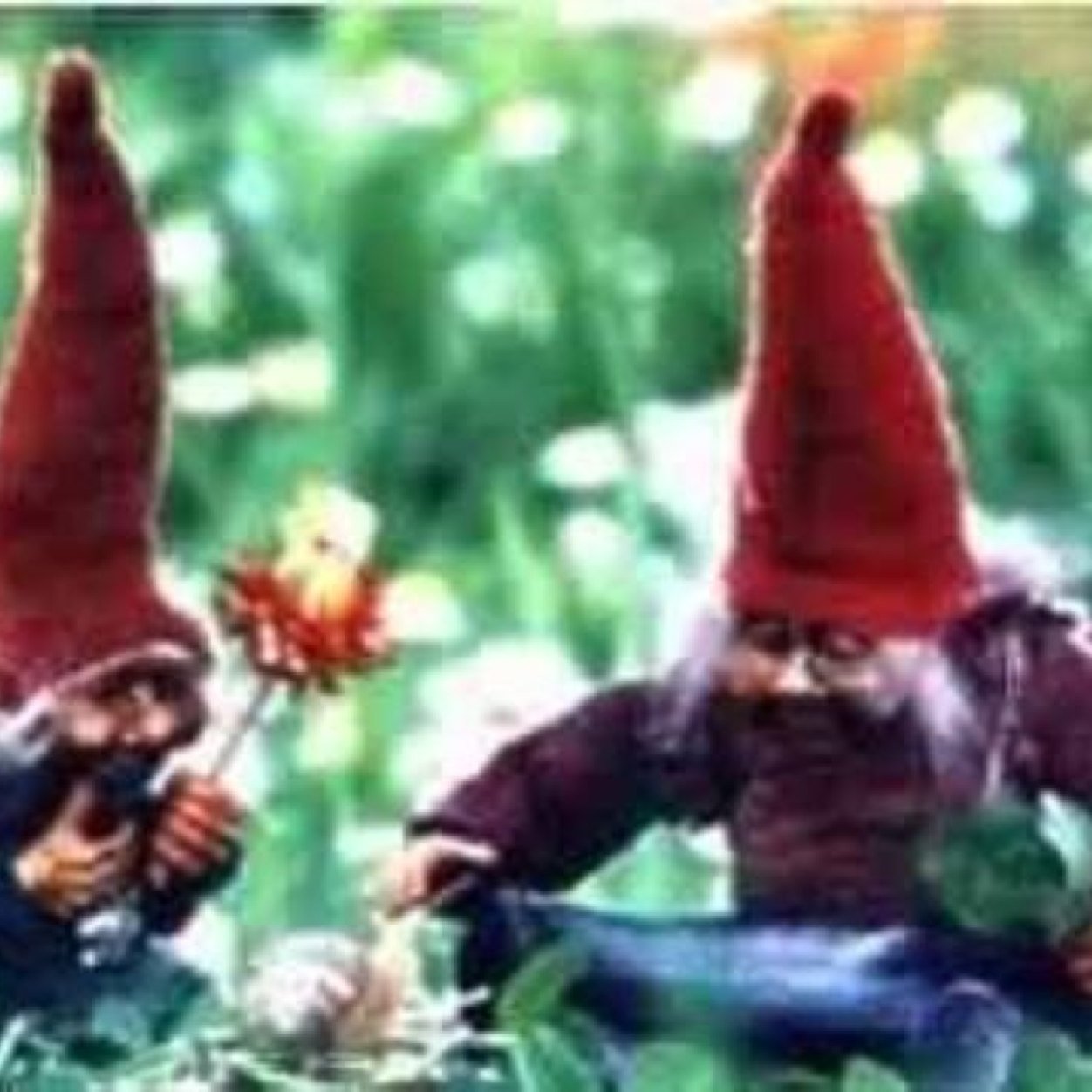 Ll3Bel's profile picture. 'Proibido parar de ser louko✌️