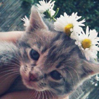 استغفر الله و أتوب اليه ♡ ♡