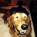 Ralph Shelton - @res99999 - Twitter