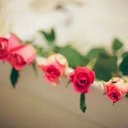 &نوني & (@00014R) Twitter