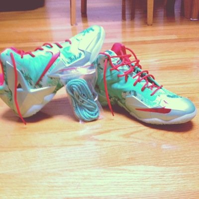 I love Basketball. SneakerHead. #LebronForLife
