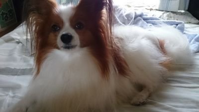 糖尿病で治療中です/ LiSAっ子歴11年.ｴｲﾙﾗﾝﾄﾞ,綾野ましろ.ReoNa.nonoc.milet.ASCA.亜咲花.May'n.幾多りら.SAO.NARUTO.Fate.FGO．ガンダム .鬼滅の刃   #グランパス .ｻｯｶ‐#サブキン - 仲良くヨロシクね！ 愛知県
