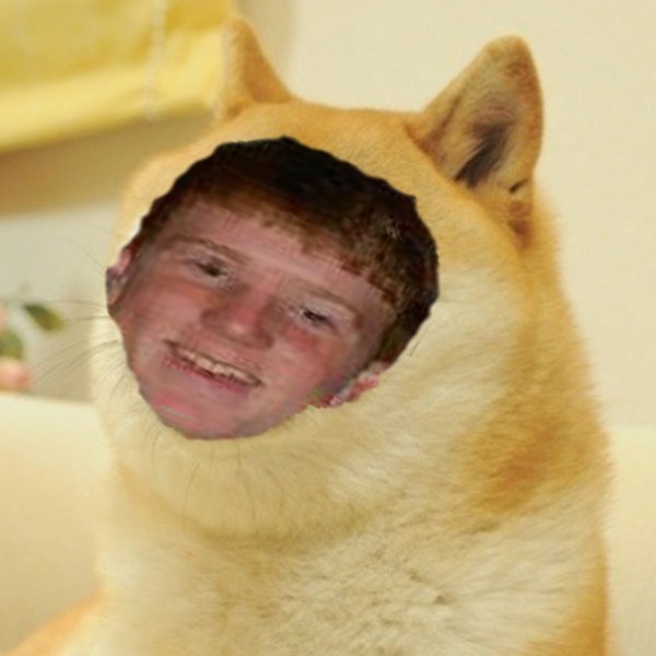 GetShrektFaggot's profile picture. anal bead