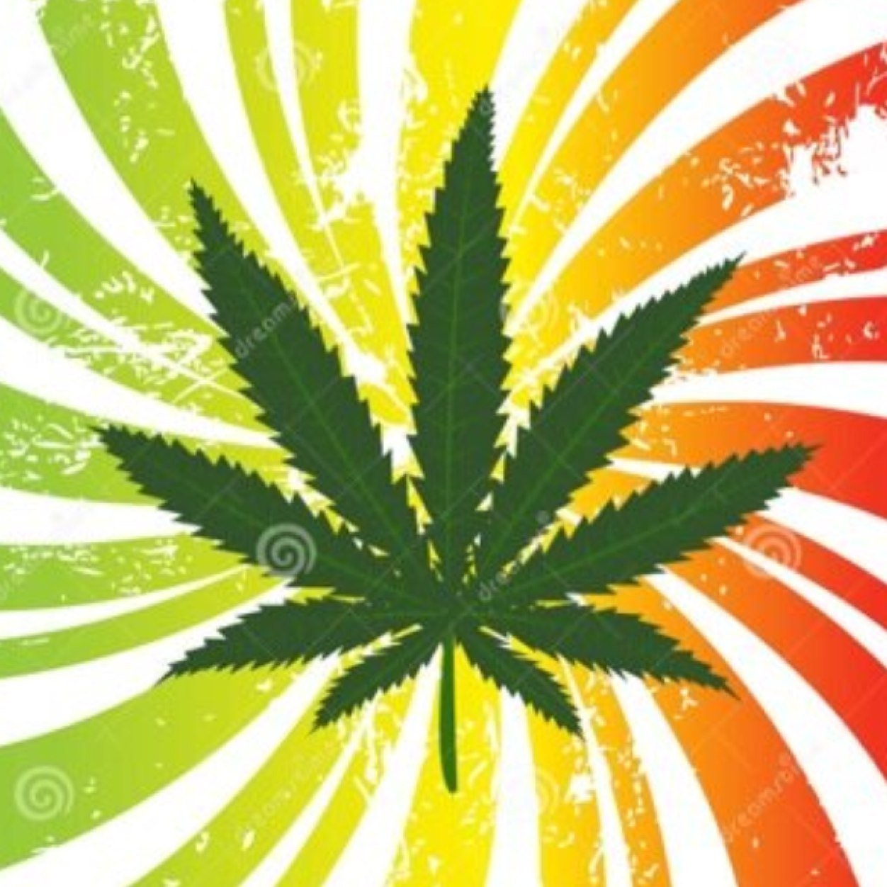 Account hacked at 4k | New account | Follow for the best stoner posts on twitter |
