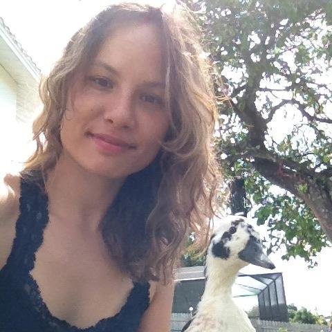 web developer, backyard duck farmer