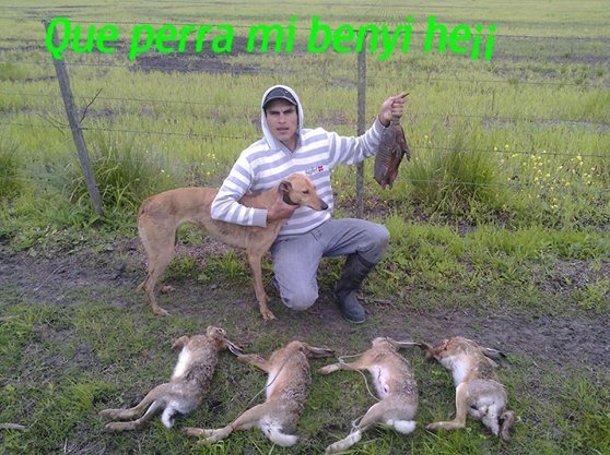 amolosgalgos's profile picture. Amante a la caza con galgos, carpintero, casado,y dos hijas,!