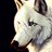 WormLickPLM's profile image