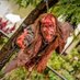 Kreepie ☠ That Zombie Guy 🤘 (@fattieking) Twitter profile photo Kreepie ☠ That Zombie Guy 🤘 (@fattieking) Twitter profile photo