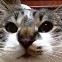 なおみ (@0529_kame) Twitter